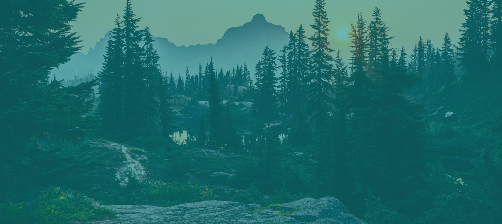 Header-About